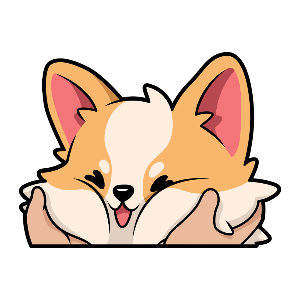 Chubby Corgi